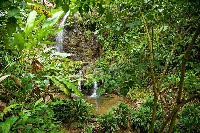 Private Tour in Aripo Waterfall Adventure from Port of Spain - Final Thoughts