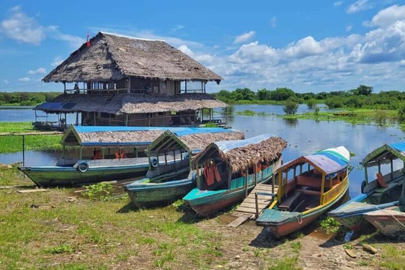 Private Tour in Belen Market, Floating City and Amazon River - Key Points