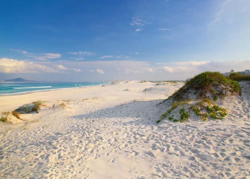 Private Tour in Cabo Frio: Paradise Beaches and Culture - Key Points