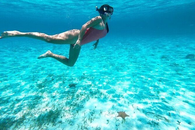 Private Tour in Cozumel El Cielo Sandbar and Reef Snorkeling - Final Thoughts: Is It Worth It?