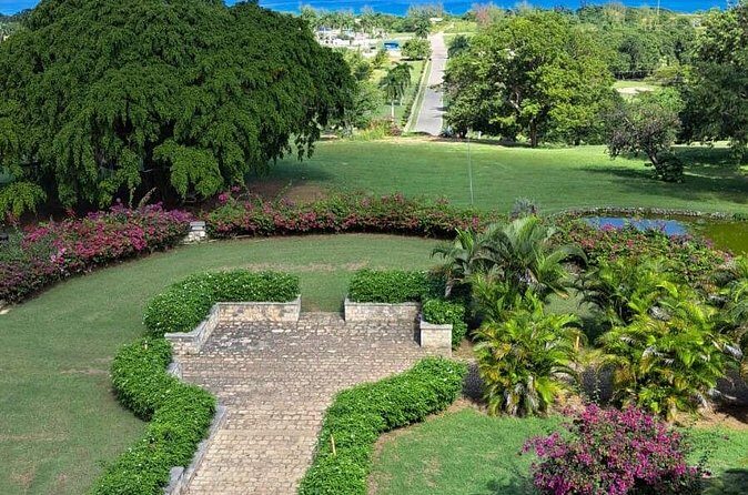 Private Tour in Dunns River Falls - Who Should Book This Tour?