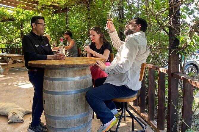 Private Tour in Guadalupe Valley, Vine Yards & Wine Route ENS MX - An Authentic Day in Guadalupe Valley: What to Expect