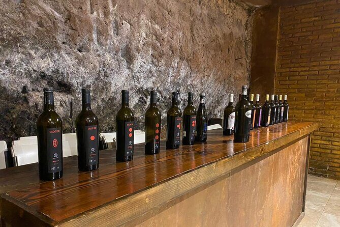 Private Tour in Guadalupe Valley, Vine Yards & Wine Route ENS MX - Who Should Consider This Tour?