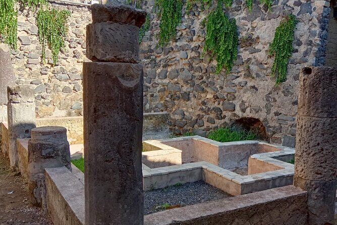 Private Tour in Herculaneum with an authorized guide - Key Points