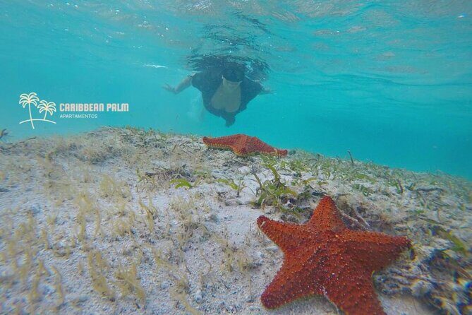 Private Tour in luxury BOAT over the sea of 7 colors - Exploring San Andrés by Private Boat: A Detailed Look