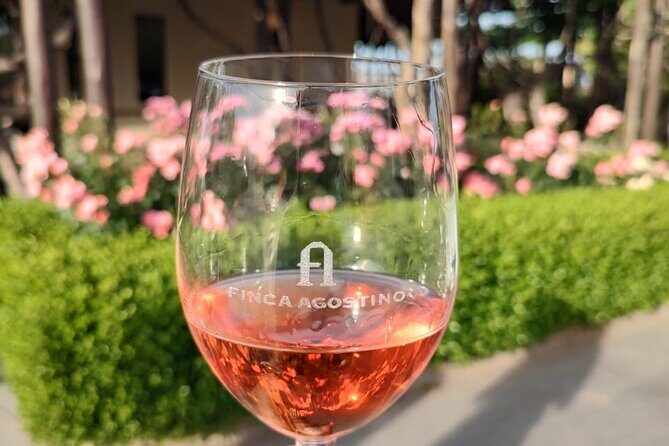 Private tour in Maipú - Discovering Mendoza: Private Maipú Tour in 6 Hours