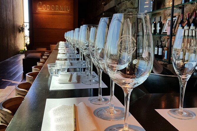 Private tour in Maipú - Logistics and Value