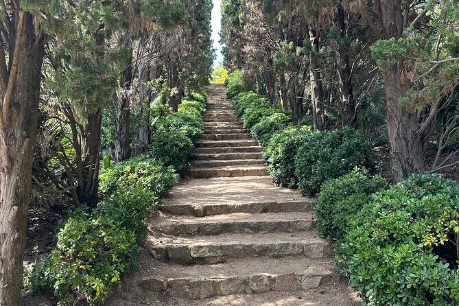 Private Tour in Marimurtra Garden and Blanes City - Who Should Consider This Tour?
