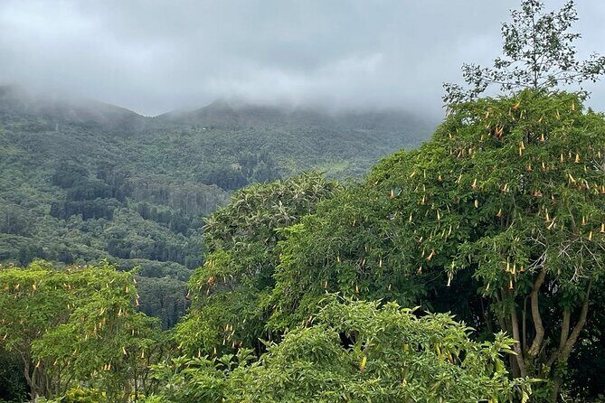 Private Tour in Monserrate Bogota - Key Points