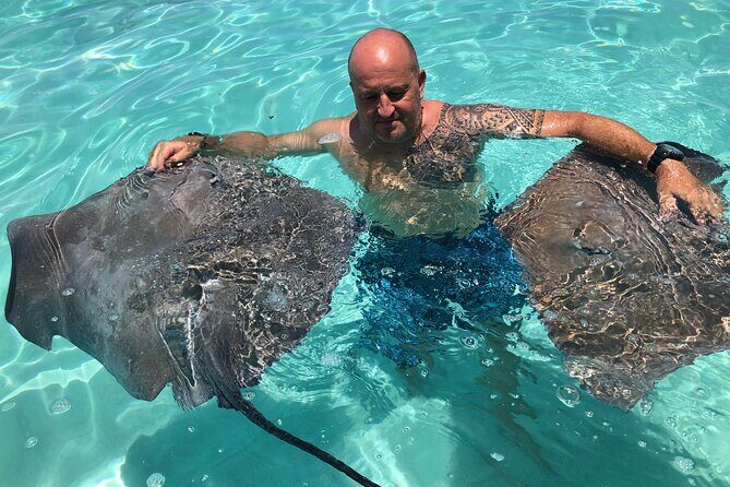 Private tour in Moorea by boat, visit and snorkeling - Key Points