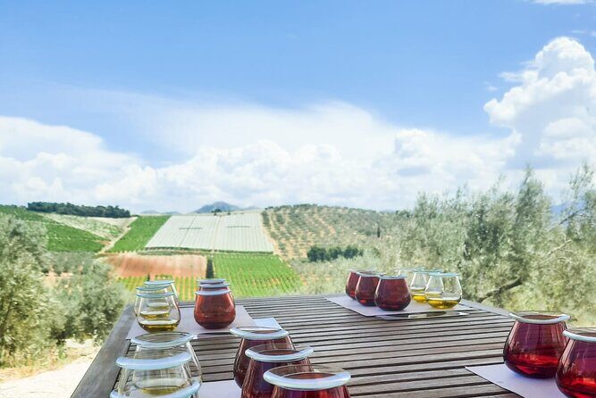 Private tour in Nafplio with Olive oil Tasting Tour in Corinth - Is This Tour Worth the Price?