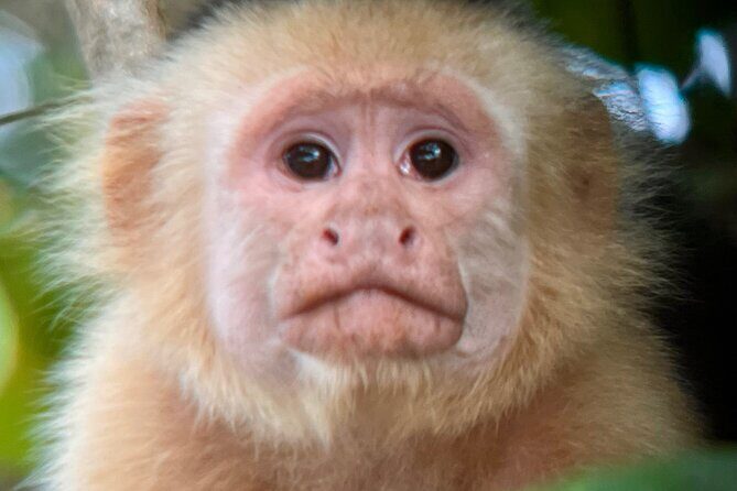 Private tour in Palo Verde with Boat ride - An Adventure in Nature and Culture: Private Palo Verde Boat Tour