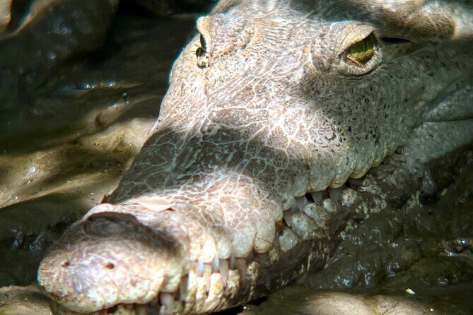 Private tour in Palo Verde with Boat ride - Key Points