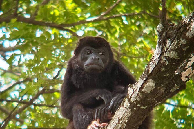 Private tour in Palo Verde with Boat ride - Practical Tips for Your Tour