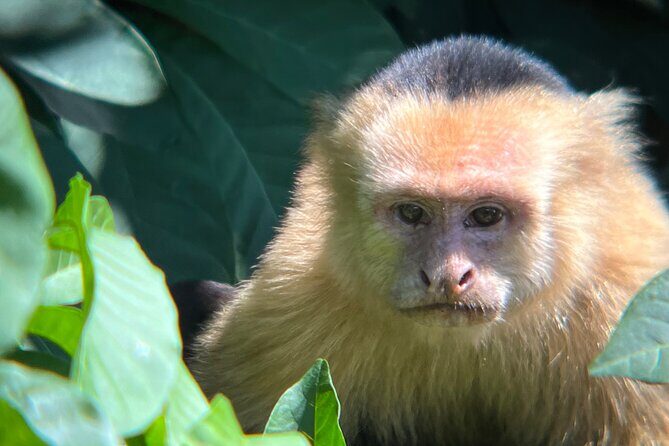 Private tour in Palo Verde with Boat ride - The Sum Up: Is This Tour Right for You?