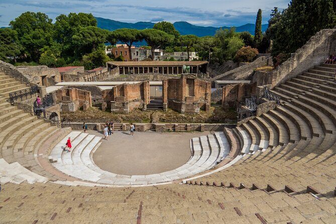Private Tour in Pompeii with Wine and Lunch option on Vesuvius - Who Will Love This Tour?