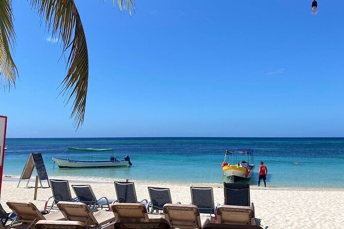 Private Tour in Roatán with a Professional Guide - Who Would Enjoy This Tour Most?