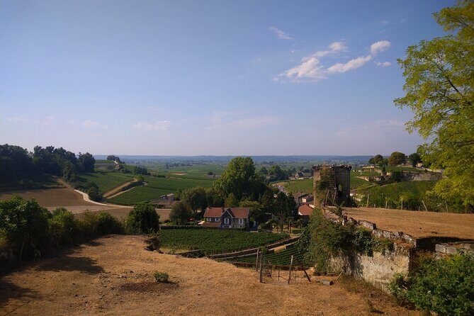 Private tour in Saint-Emilion, médiéval village and wine tasting - Transportation & Timing