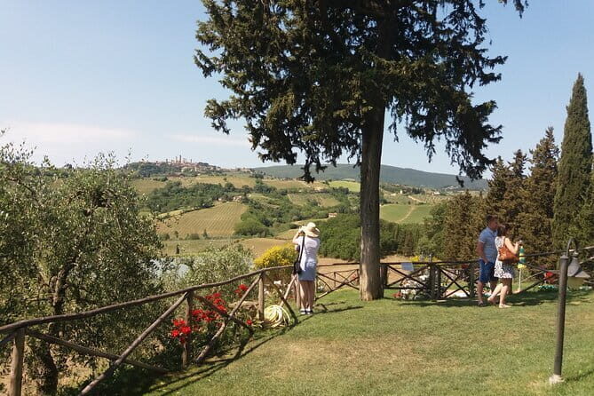 Private Tour in San Gimignano and Chianti Day Trip from Florence - Who Should Consider This Tour?