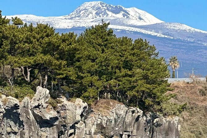 Private Tour in South Jeju including Yacht Cruise - An Itinerary That Covers the Best of Jeju’s Nature and Coast