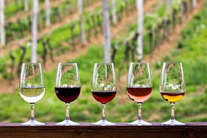 Private Tour in the Douro with Family Vineyards and Miradouro - A Private Douro Experience: Family Vineyards and Miradouro