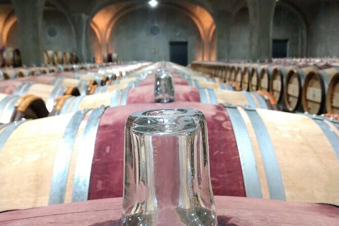 Private tour in the prestigious Médoc wine region - Exploring Bordeaux’s Médoc: A Deep Dive into the Experience