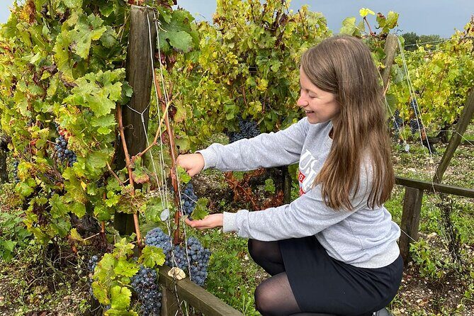 Private tour in the prestigious Médoc wine region - Frequently Asked Questions (FAQs)