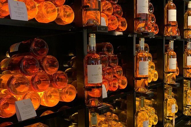 Private tour in the Sauternes wine region - discover Bordeaux sweet Crus Classés - Key Points