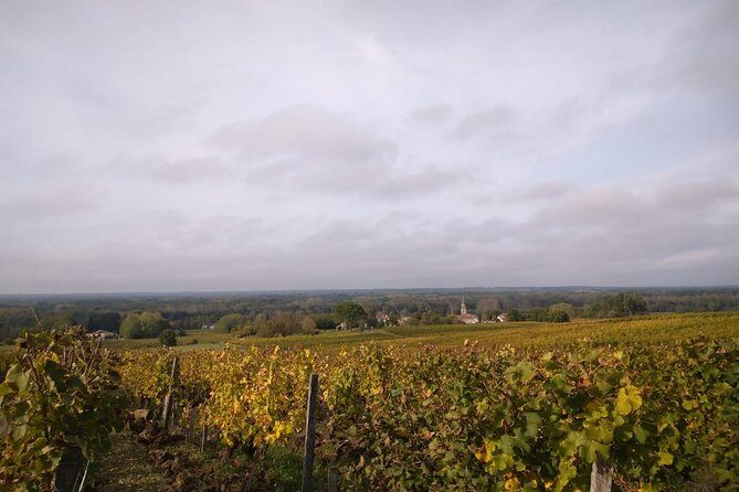 Private tour in the Sauternes wine region - discover Bordeaux sweet Crus Classés - Frequently Asked Questions