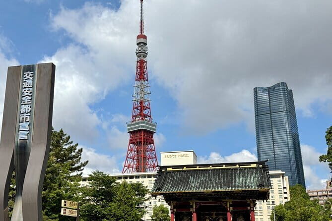 Private Tour in Tokyo with Local Guide - Final Thoughts