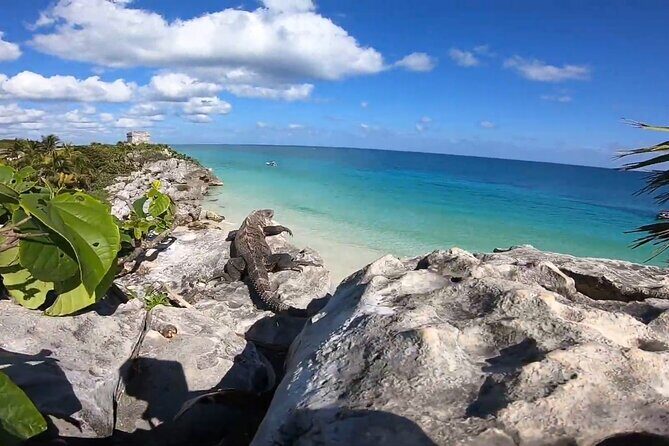 Private Tour in Tulum Ruins with Certified Guide - Why the Price Represents Good Value