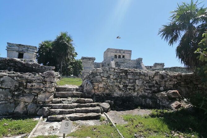 Private Tour in Tulum Ruins with Certified Guide - FAQ