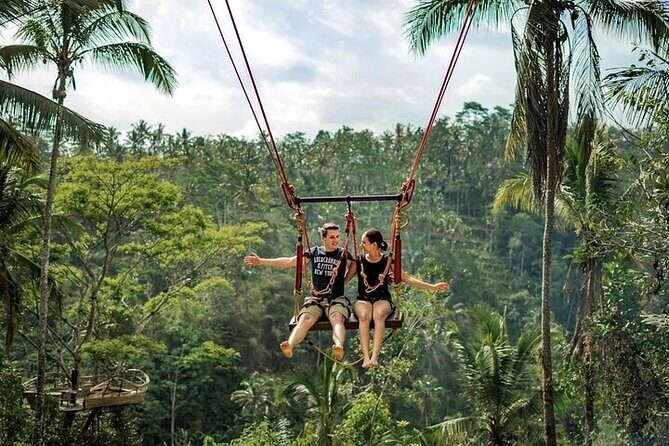 Private Tour in Ubud with Jungle Swing - Key Points