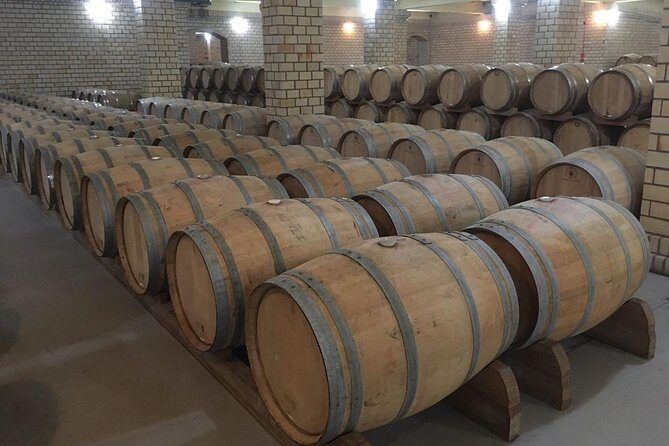 Private Tour in Vale dos Vinhedos in Bento Gonçalves RS - Key Points