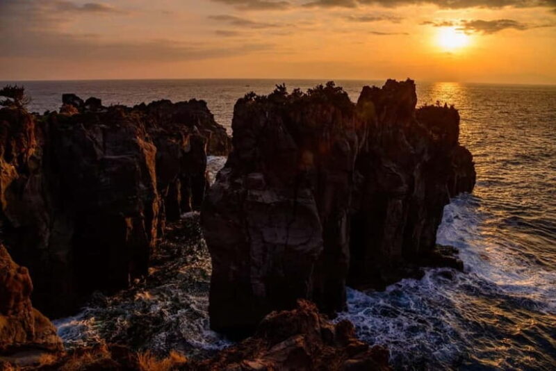 Private Tour : Izu Peninsula Day Trip with Cable Car Ride - FAQs