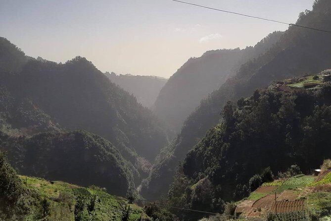 Private Tour Jardim da Serra Halfday - A Detailed Look at the Madeira Private Half-Day Tour
