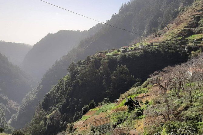 Private Tour Jardim da Serra Halfday - Authentic Experiences from Travelers