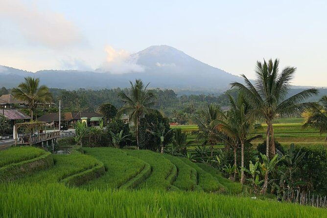 Private Tour: Jatiluwih Rice Terraces - Ulun Danu Temple - Bayumala Waterfalls - Who Will Love This Tour?