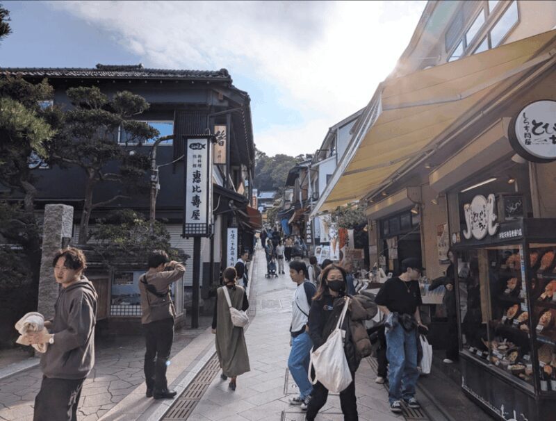 Private tour Kamakura and Enoshima w/ Spanish speaking guide - Exploring Kamakura and Enoshima: A Deep Dive