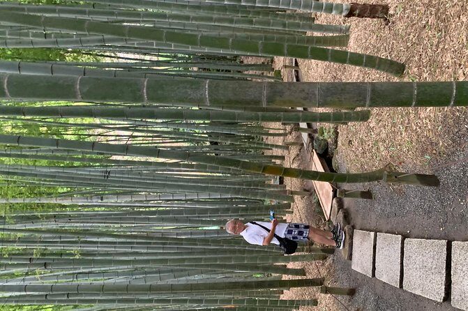 Private Tour Kamakura and Enoshima With Guide and photographer - A Deep Dive Into the Kamakura and Enoshima Private Tour