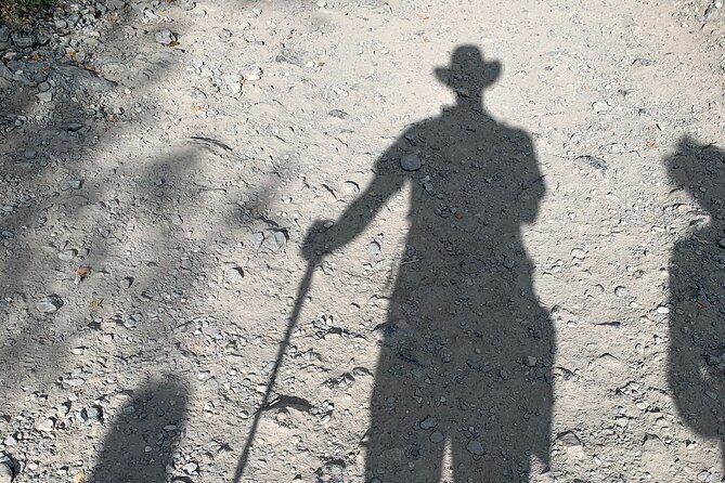 PRIVATE TOUR: Kananaskis Safari Drive and Guided Nature Walk 4H - A Closer Look at the Experience