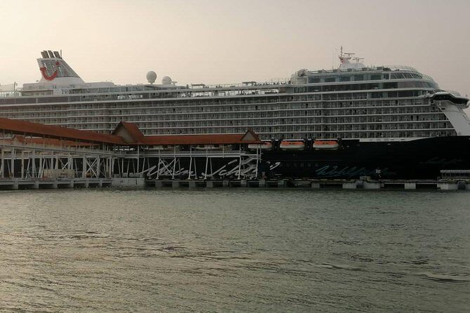 Private Tour : Kuala Lumpur Excursion with Petronas Entry Tickets - Port Klang - What’s Included and What You Should Know