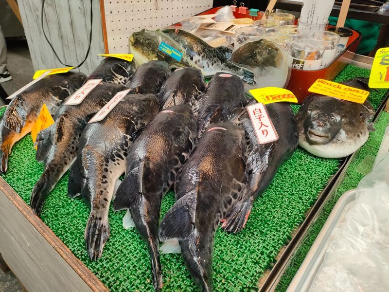 (Private Tour) Kuromon Market & Takoyaki Making Class in Osaka - Timing, meeting point, and other useful details