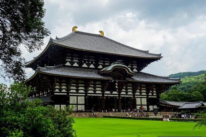 Private Tour Kyoto-Nara w/Hotel Pick Up & Drop off from Kyoto - Authentic Traveler Experiences