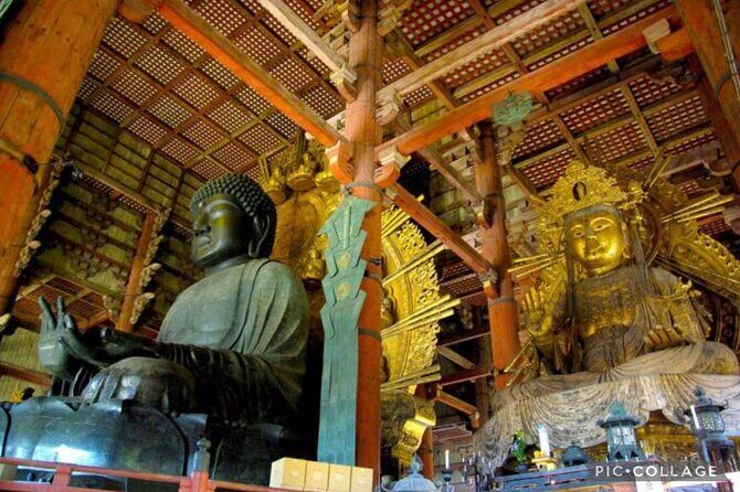 Private Tour Kyoto-Nara w/Hotel Pick Up & Drop off from Kyoto - The Value of This Tour
