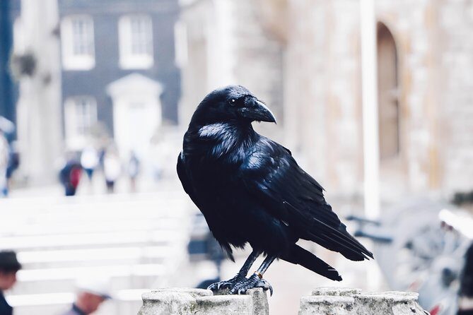 Private Tour London Highlights, entries Westminster Abbey, The Tower of London - Frequently Asked Questions