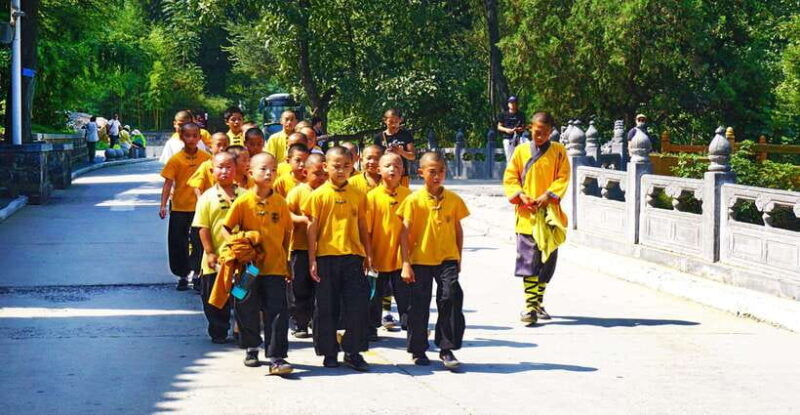 Private Tour: Longmen Grottoes, Shaolin Temple & Kungfu Show - Exploring the Longmen Grottoes and Shaolin Temple: An In-Depth Review