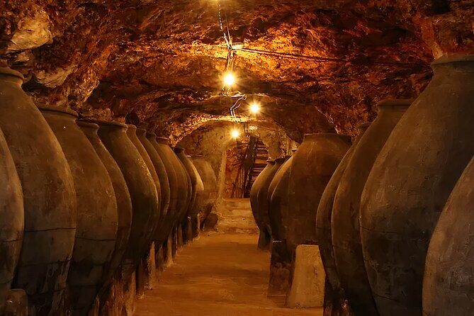 Private Tour & Lunch Of Underground Winery & Countryside Estate - An In-Depth Look at Your Madrid Countryside Escape