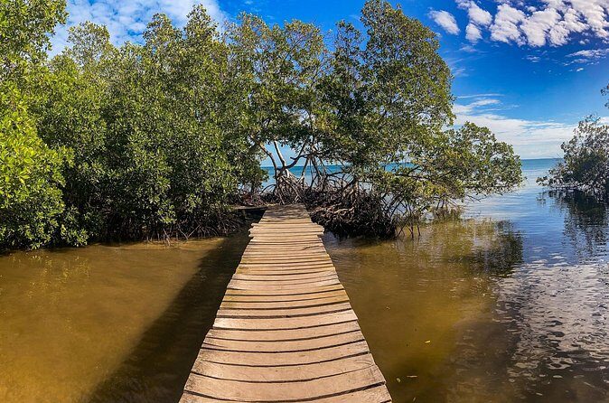 Private Tour Magic Mangrove Paddle in Beef Island Lagoon - FAQ