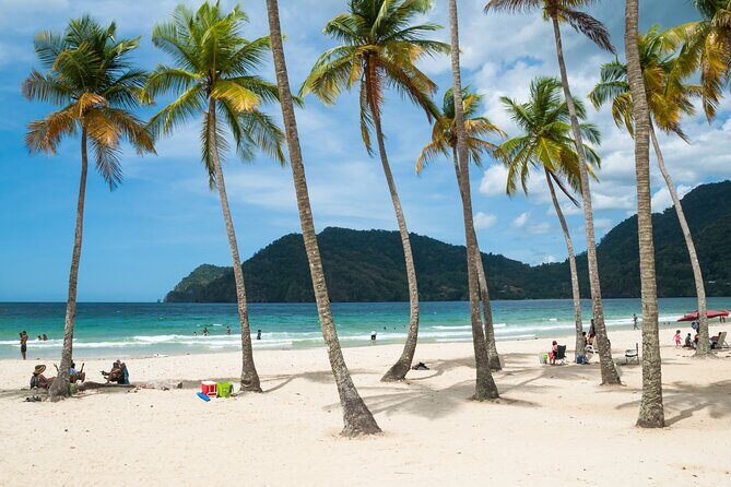 Private Tour Maracas Beach from Port of Spain - Experience Trinidad’s Scenic Treasure: Private Tour to Maracas Beach from Port of Spain